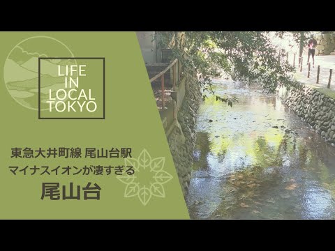 尾山台駅 / マイナスイオンが凄すぎる 尾山台