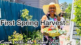 Finding Joy In The Simple Things | Picking Fresh Greens & Herbs From The Garden.#slowliving #vlog
