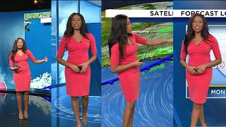 Peta Sheerwood from WPLG Local 10 News with the Weather forecast for February 21, 2026
