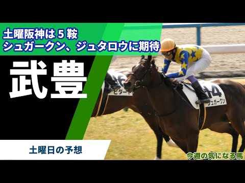 【武豊】土曜阪神5鞍の予想！シュガークン、スイープアワーズ、ジンセイ、ジュタロウ、アイコンテーラーの検証