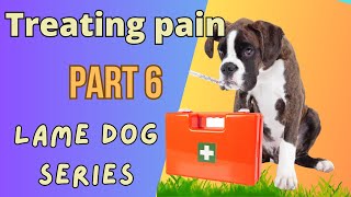 Essential Strategies for Treating Your Dog's Pain-part 6