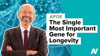 ApoE—The Single Most Important Gene for Longevity