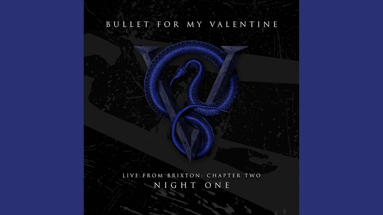 Silver Bullet For My Valentine (fr0z3nfury009 Live Guitar Cover)