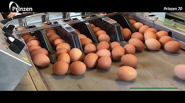 Vencomatic Group: Prinzen - Prinzen 70