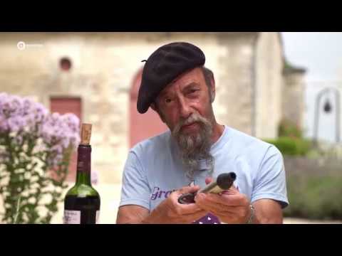 Video: Hoe Droge Franse Wijn Te Kiezen?