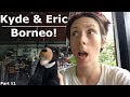 Borneo! | Sun Bears, Orangutans and Tea Plantations!