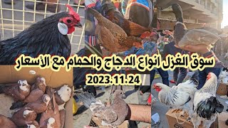 سوق الغزل يوم الجمعة انواع الدجاج العربي الاصلي ودجاج الزينة وحمام المطيار والزينة 2023/11/24