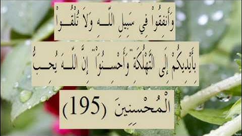 القران الكريم سورة البقرة الاية 195