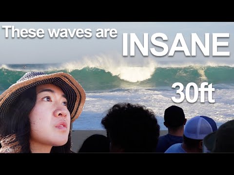 Eddie Aikau Big Wave Surf Contest 2023  | Vivian Vlog
