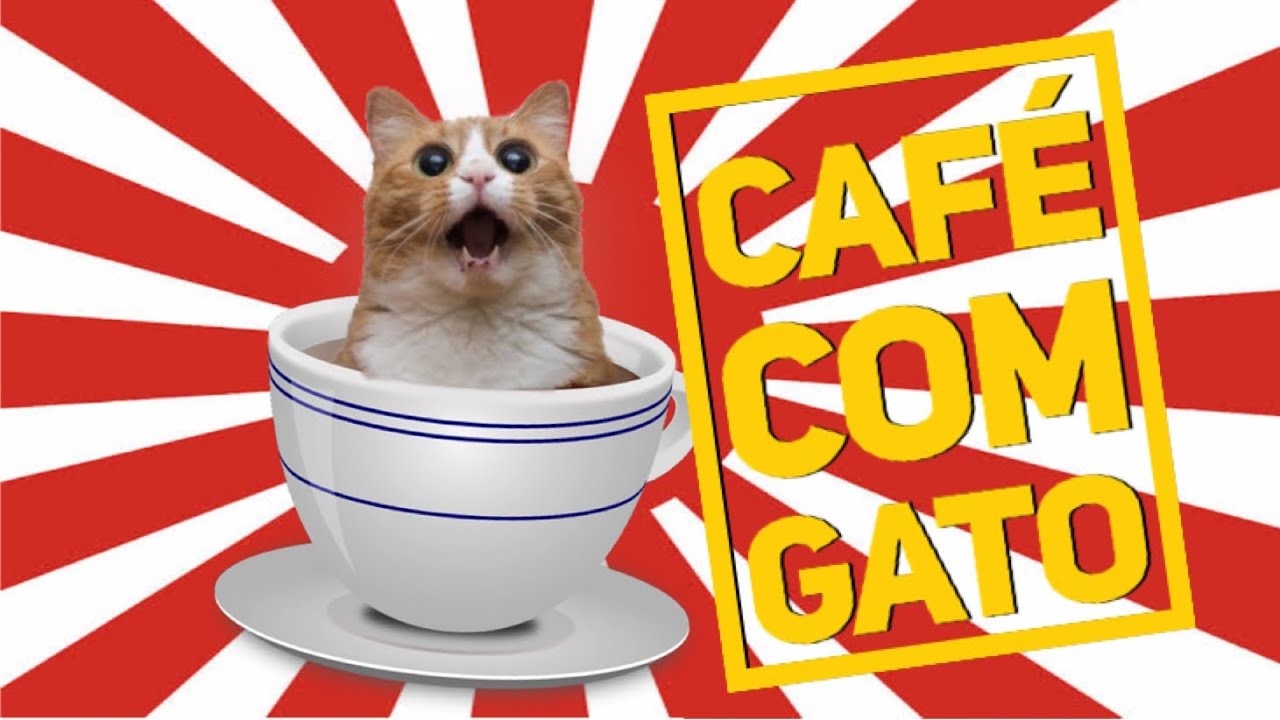 CAF  COM GATO  CAT  CAF  MOCHA FUJI DO COMUM YouTube