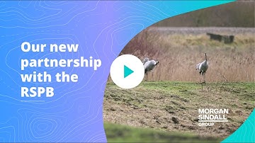 Morgan Sindall Group & RSPB partnership at Lakenheath Fen