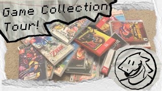 Lizard Extras | Nintendo Switch and Wii Game Collection Tour! (Fixed Audio)