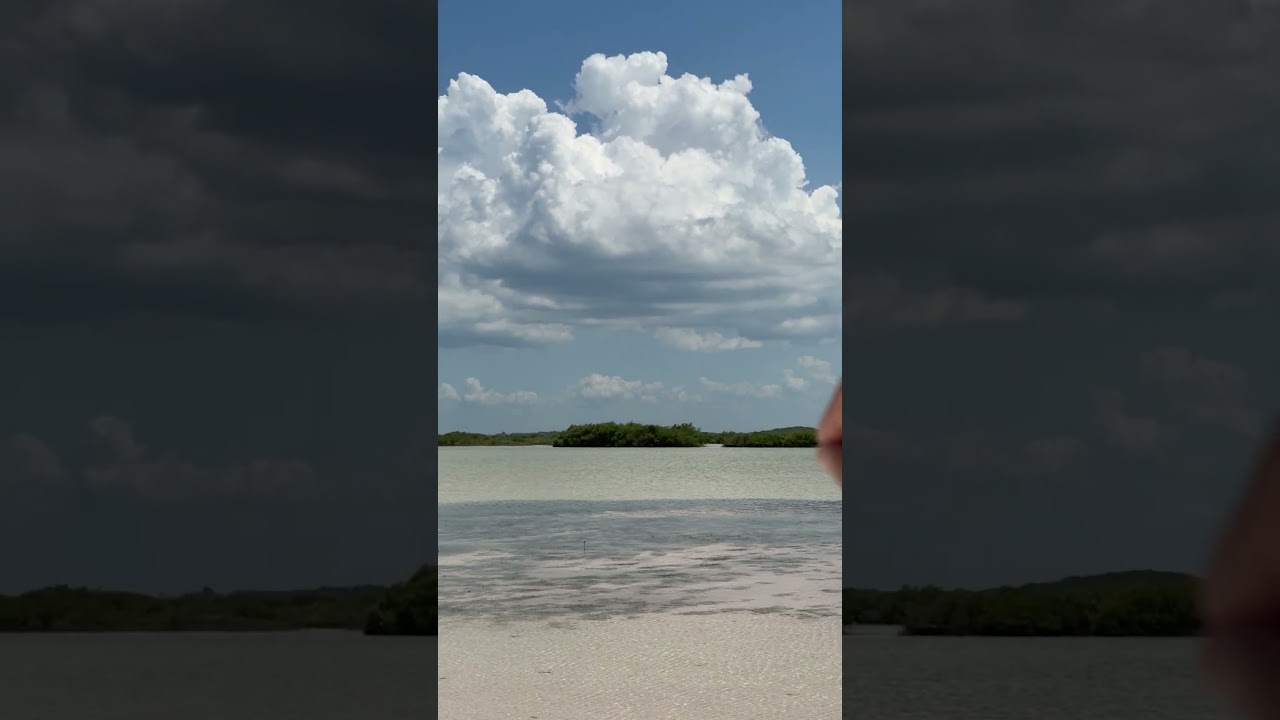 Disfruta de la Laguna rosada en la Costa Yucateca 🦩🦩