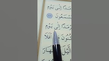 سورة القصص الأية 71 إلى 73 بصوت سعد الغامدي