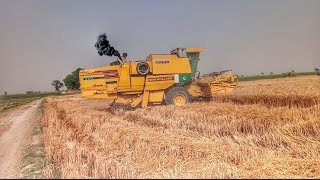Haverwstar machine catting a wheat# powerful machine # zohan tractor channel#