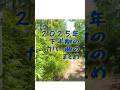 2025年下半期のカバー曲のまとめ #安全地帯 #玉置浩二 #マクロス #カバー曲 #邦楽