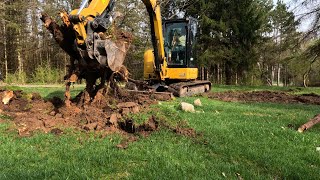 How to Remove Tree Stumps Easily With a Mini Excavator (Stepbystep Guide)