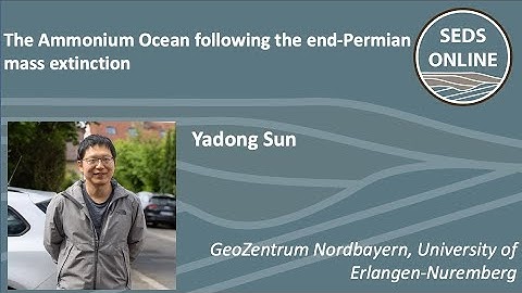 The Ammonium Ocean following the end-Permian mass extinction