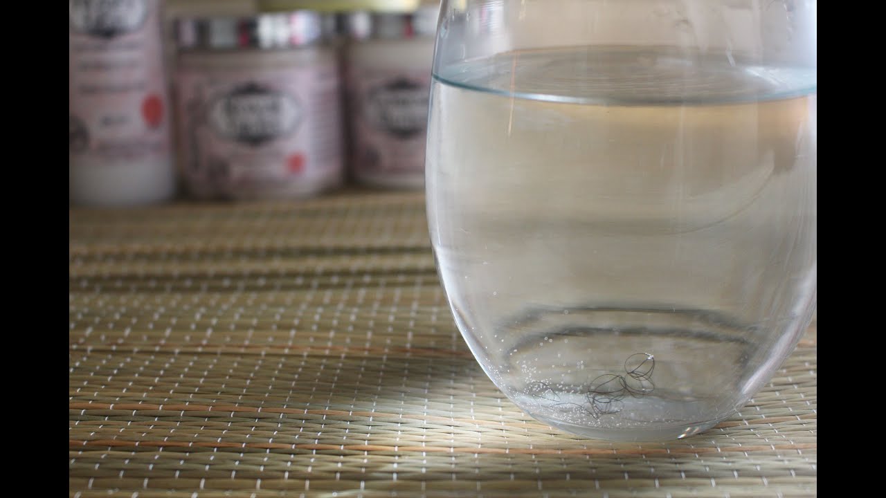 HOW TO CARE FOR YOUR HIGH POROSITY HAIR KRIYA BOTANICALS YouTube