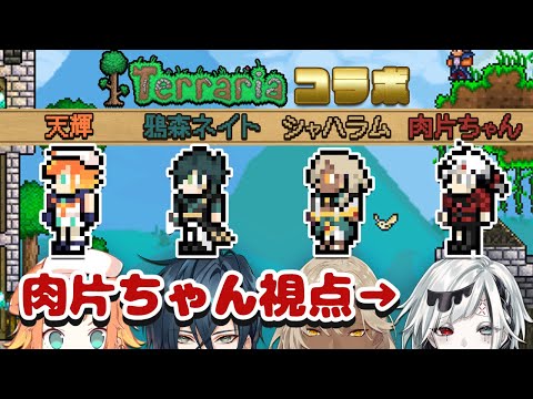 【Teraria】みんなでテラリア生活はじめました03【#天森砂肉】