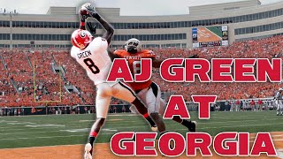 AJ Green | Georgia Highlights