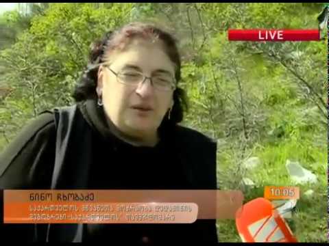 ნინო ჩხობაძე აქცია დედამის დღესთან დაკავშირებით