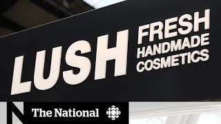 Famous Lush Cosmetics deactivates social media accounts to pressure tech companies Net Worth