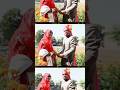 nice kapel 👌❣️❤️🩹 #वीडियो_अच्छी_लगी_तो_लाइक_और_सब्सक्राइब_क #newमारवाड़ीcomedy #weddingphotography