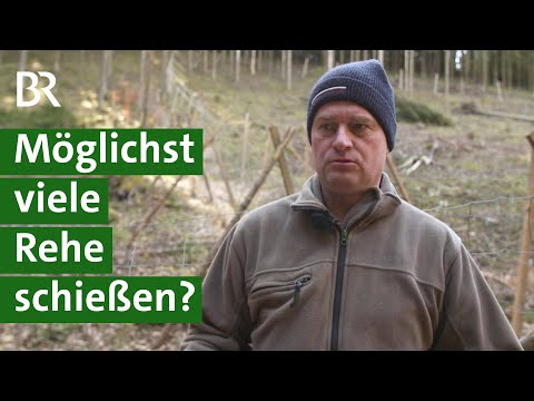 Jäger schießt Rehwild: Gesunder Wald ohne Zaun | Wald schützen | Jagd | Unser Land | BR