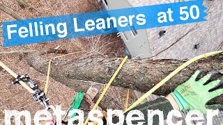 Felling Leaners at 50 -- Solo Tree Removal
