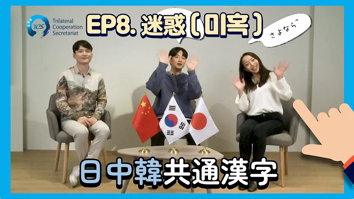 【#CJKChitChat】 Ep8:迷惑 l Trilateral Common Vocabulary Series l 中日韩共用汉字 l 日中韩共通汉字 l 한중일공통한자어 - 天天要闻