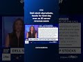 Dell stock skyrockets, heads for best day ever as AI server revenue soars