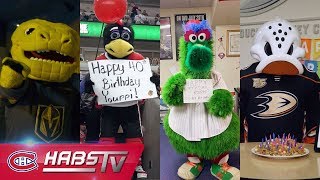 Mascots wish Youppi! a happy 40th birthday