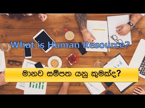 What is Human Resource - මානව සම්පත යනු කුමක්ද?