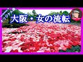 大阪・女の流転  (オリジナル曲)  第52弾  歌唱:Sammy1212        作詞:26時京都  作/編曲:Kinopy5
