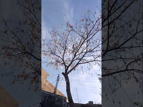 Muhammad UN Syed UN Qaonain Ni WA Sakal N Explore Ferdows Khujand