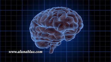 Rotating Brain 1003 HD, 4K Stock Video