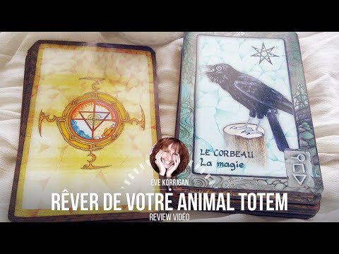 [ Review ] Les cartes Rêver de votre animal Totem