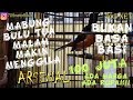 Murai Arsenal Juta Mental Gaya Main Durasi Isian Volume Toppp Mp3 - Mp4 Download