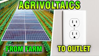 Everything You Need to Know About Agrivoltaics | Disruptive Investing News