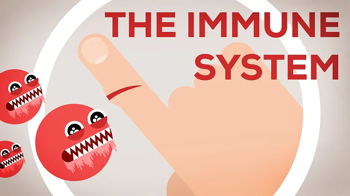 The Immune System Explained I – Bacteria Infection - DayDayNews