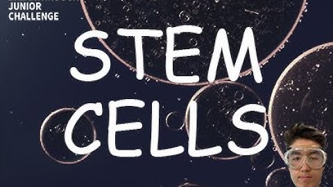 Breakthrough Junior Challenge 2023 - Stem Cells