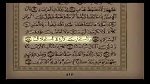 أجمل تلاوة في العالم بصوت الشيخ سلمان العتيبي سورة الفجر