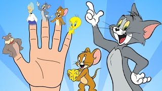 ... finger family tom and jerry song! the cartoon nursery rhymes f...