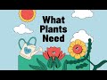 What Plants Need For Healthy Growth