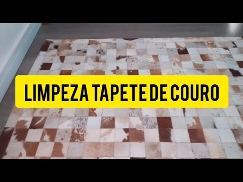 Vídeo: Como limpar uma piscina: 15 etapas (com fotos)