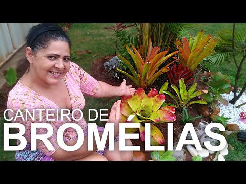 Vídeo: Cama De Gravilha (34 Fotos): Ideias Para Uma Cama De Gravilha Com Pedras. Como Fazer Isso Sozinho? Escolhendo Cascalho Decorativo Para Canteiros De Flores