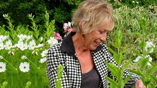 Life in a Cottage Garden with Carol Klein 2022🍀Series 1 -  Spring into Summer