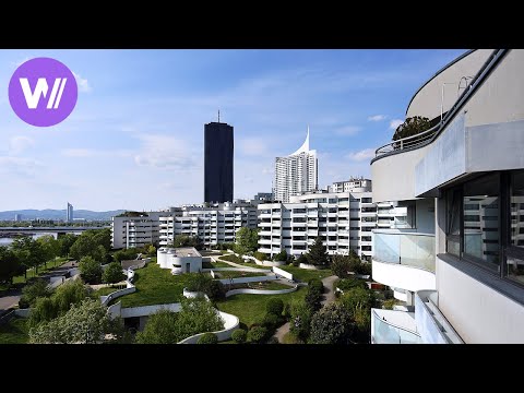 Video: Austraalia Modernism