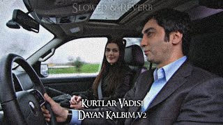 Kurtlar Vadisi - Dayan Kalbim V2 (Slowed-Reverb) Resimi